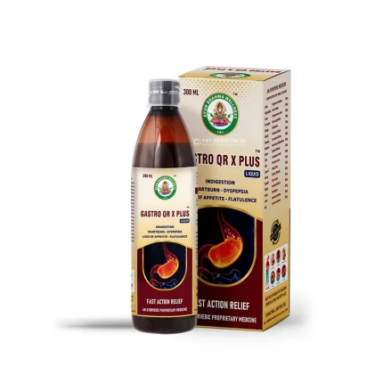 Gastro QR X Plus (300ml)